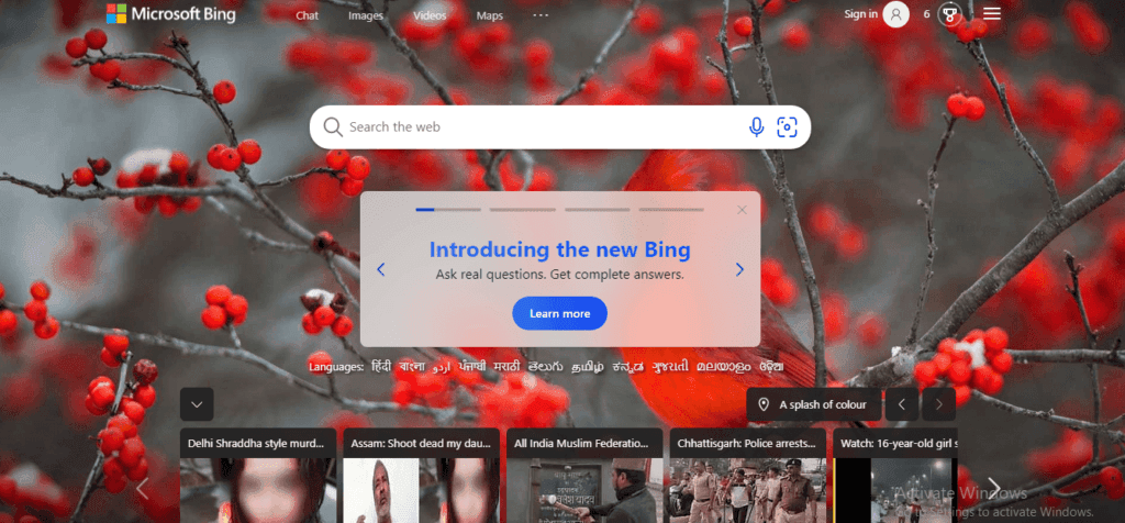 New Bing screenshot